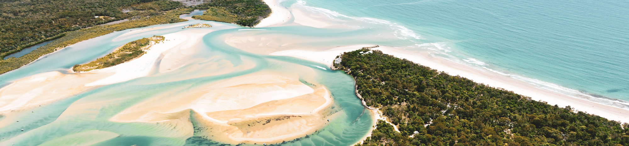 sunshine coast limoso